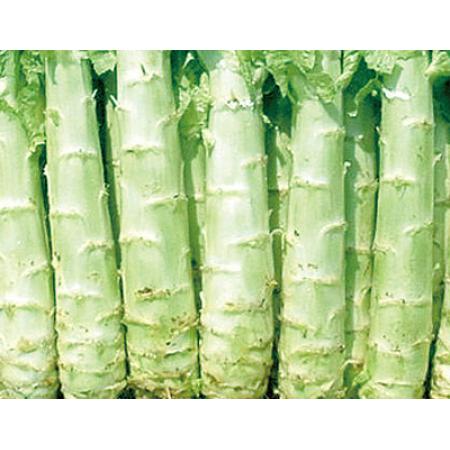 莴笋头子 500克/斤