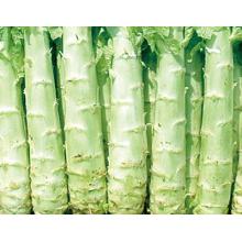 莴笋头子 500克/斤