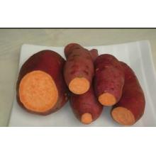 红心红苕